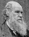 darwin.jpg (3660 bytes)